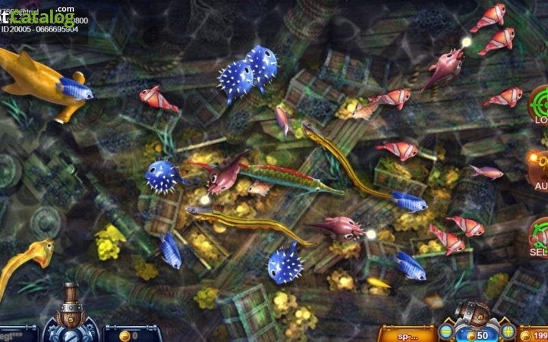 Đóng băng mục tiêu nâng cao tỷ lệ thắng